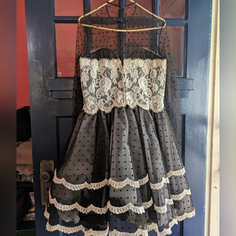 Chris Kole 90s vintage goth cupcake lace and netting dress - Picture 4 of 13